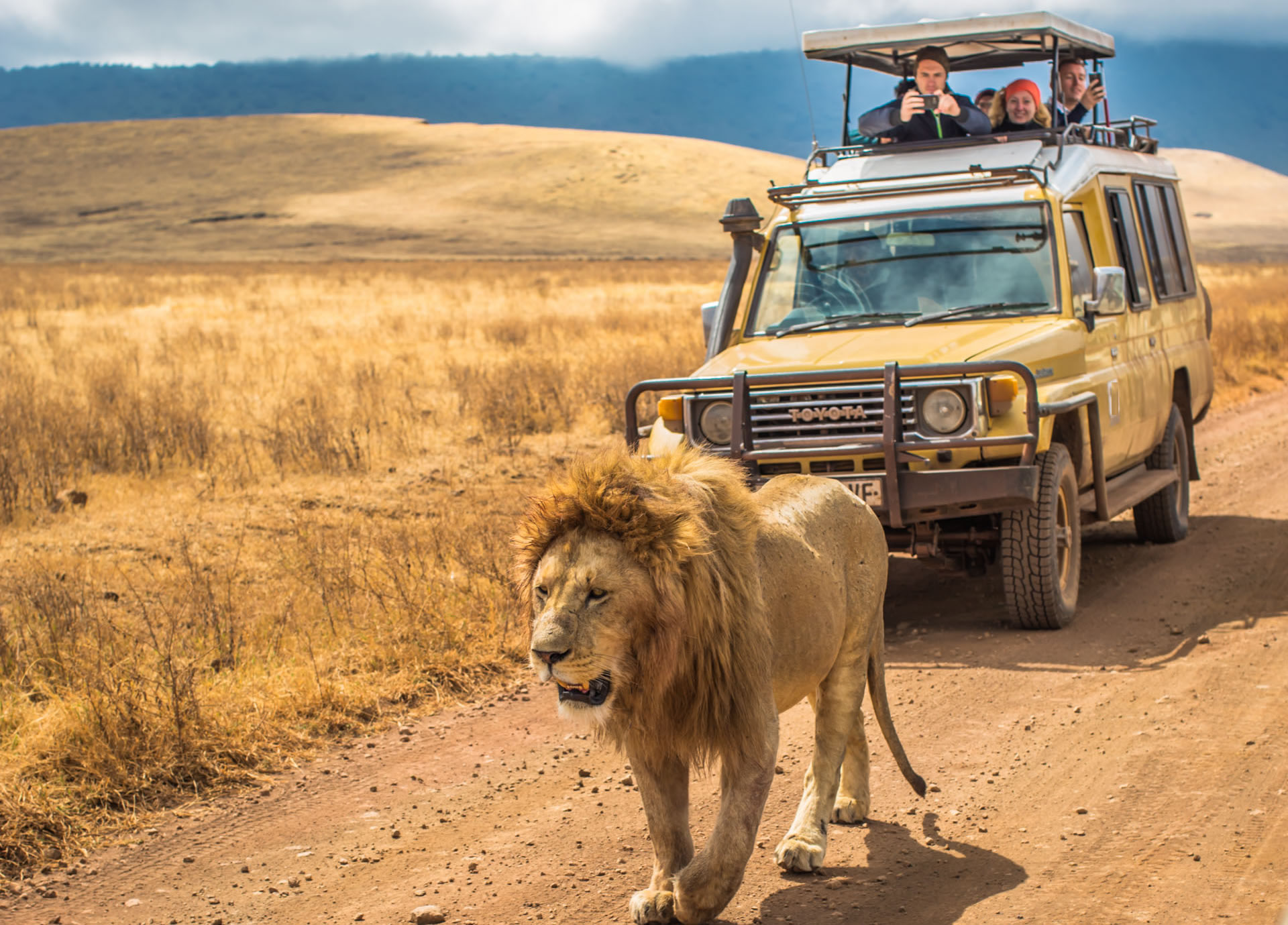 2-Day Tanzania Safari: Tarangire & Ngorongoro Crater
