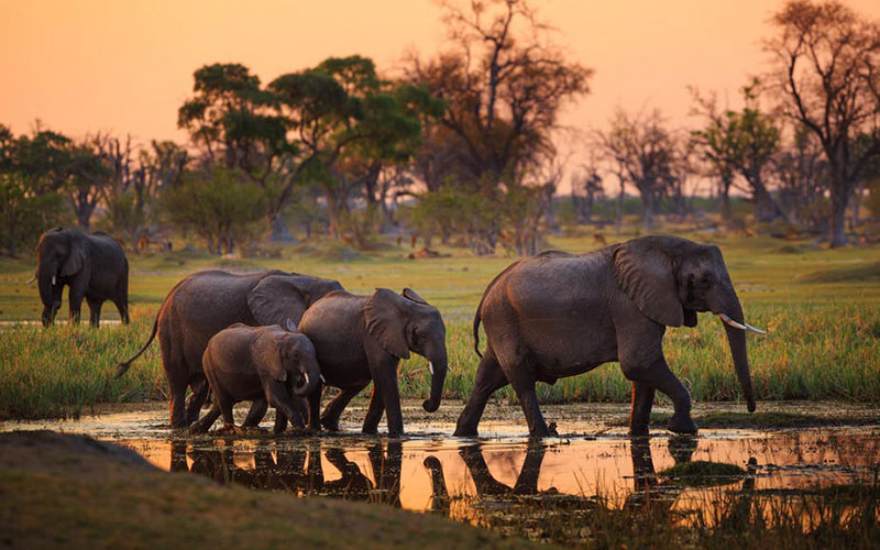 2 Days Tanzania Safari from Zanzibar to Tarangire and Ngorongoro Crater