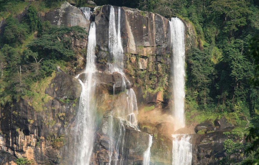 3-Day Mikumi & Udzungwa Safari