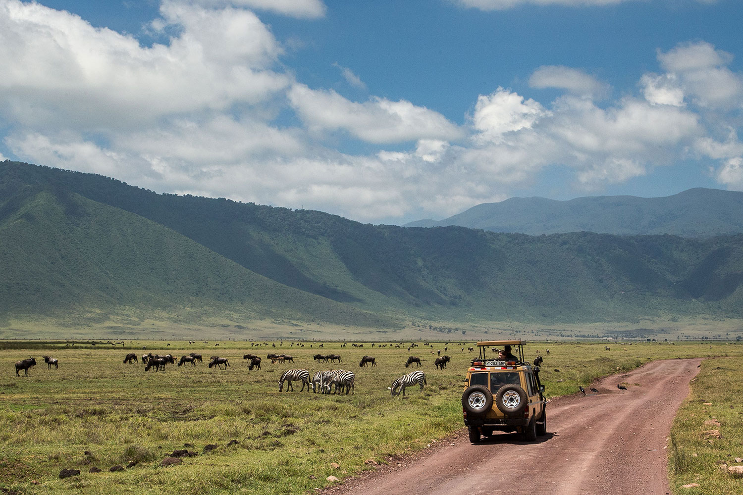 3-Day Tanzania Safari: Tarangire, Ngorongoro Crater & Lake Manyara