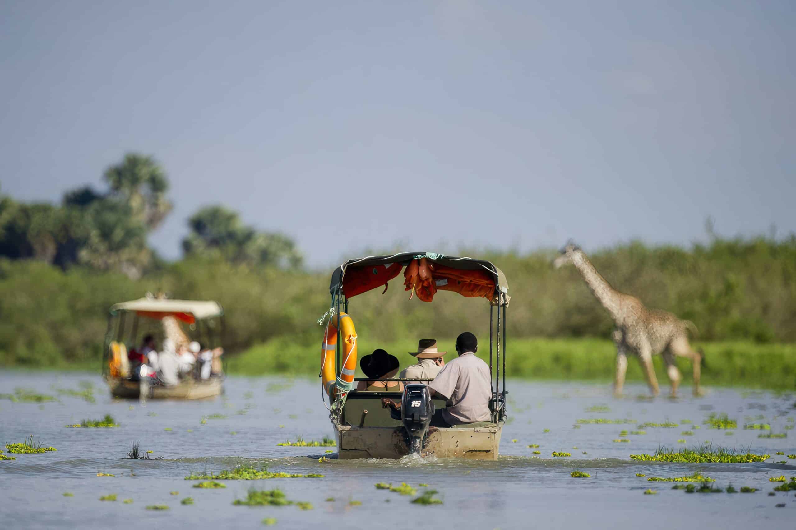 4-Day Nyerere National Park Safari