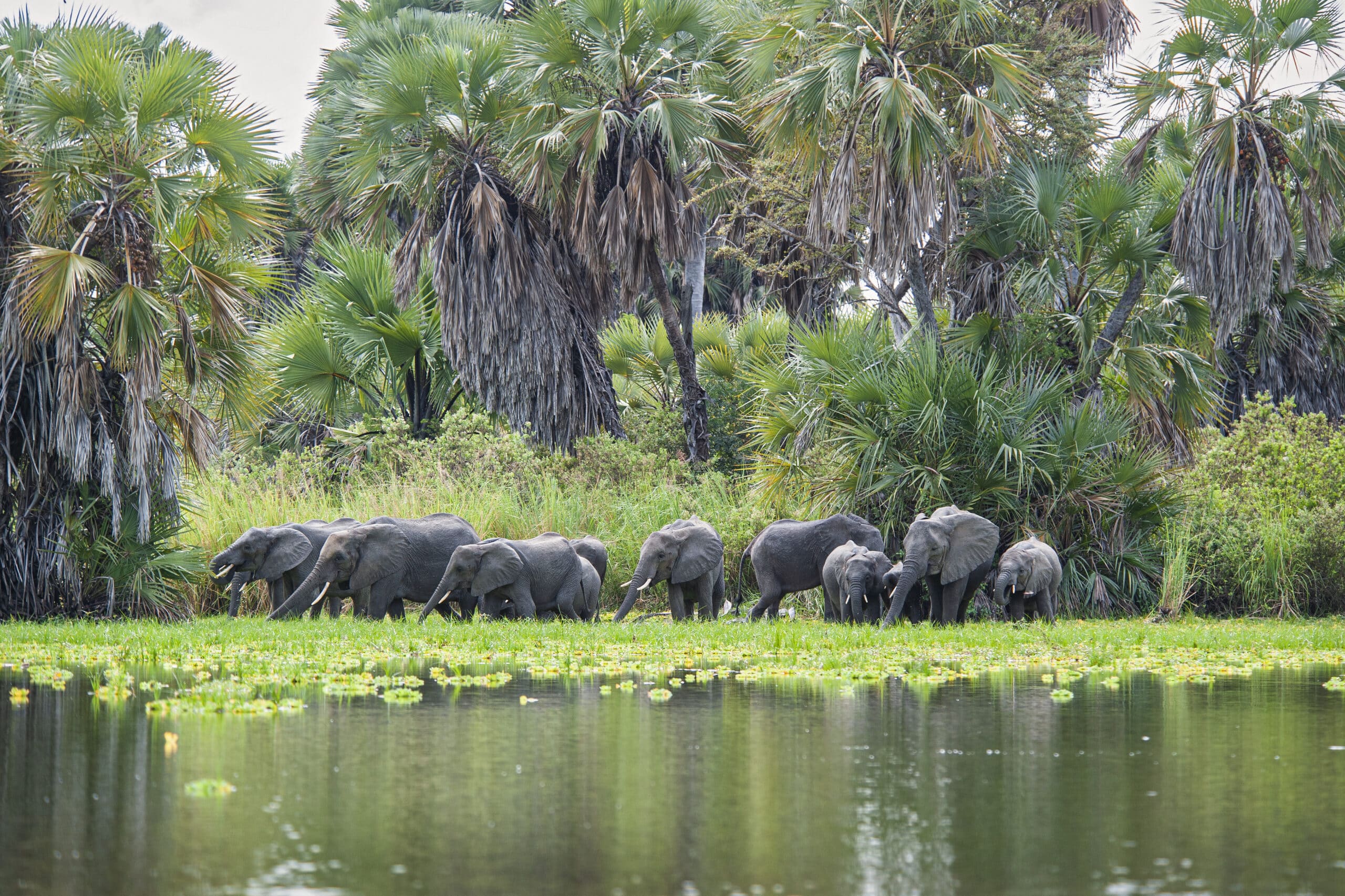 5-Day Nyerere & Mikumi Safari