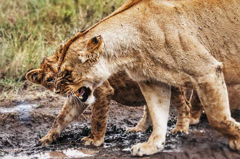 Arusha National Park