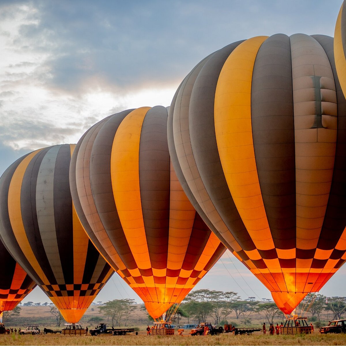 Ballon Safari Experience