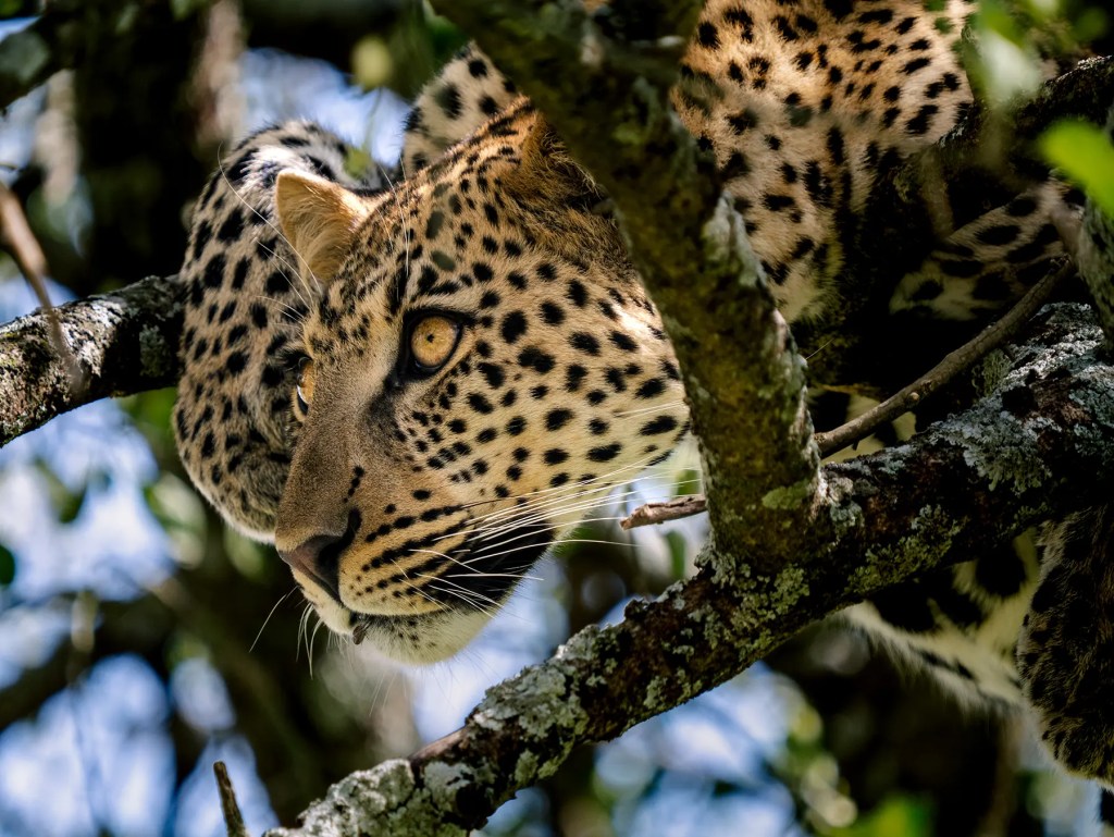 Serengeti National Park